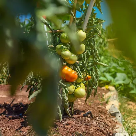 Mobilheim Direkt Am By Interhome Apartment